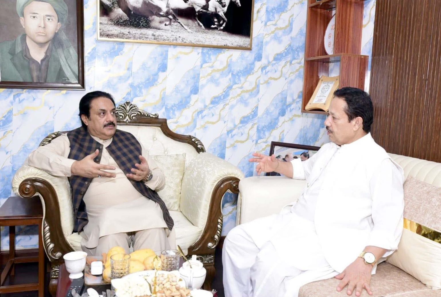 بلوچستان میں عوامی فلاح کیلئے تمام سیاسی قوتوں کو مل کر کام کرنا ہوگا، ثناءبلوچ کی سیدال ناصر سے گفتگو