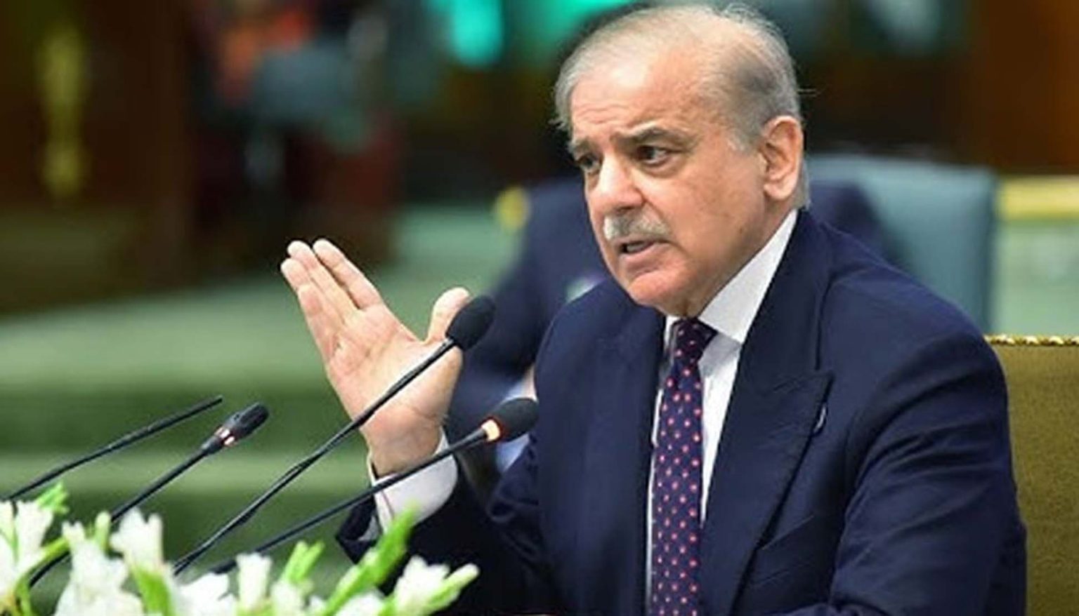 تیزی سے بڑھتی آبادی ملک کیلئے بڑا چیلنج، توازن ہی پائیدار قومی ترقی کی ضمانت ہے، وزیراعظم شہباز شریف