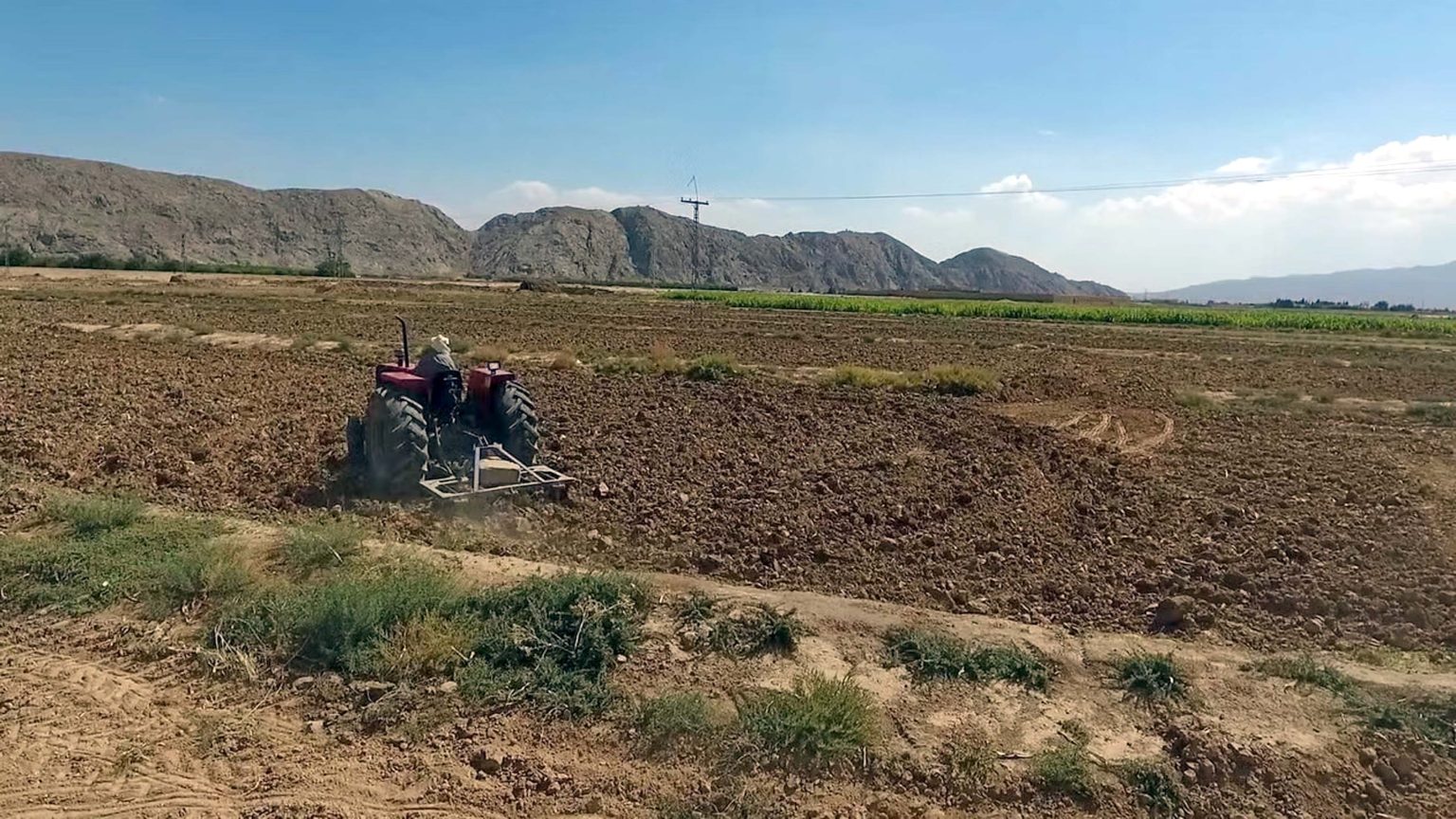 زراعت بلوچستان