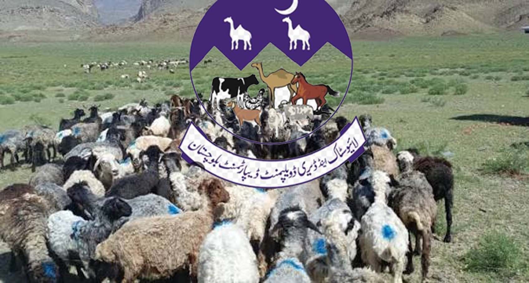 لائیو اسٹاک